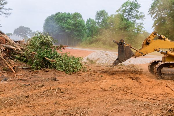 Ground Clearing in Leander