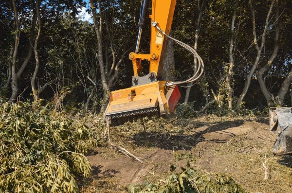 Brush Removal Service in Leander
