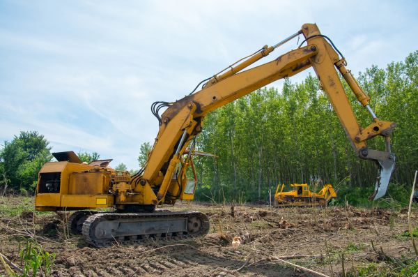 Farm Clearing in Leander