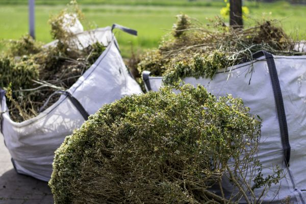 Bushes Clearing in Leander