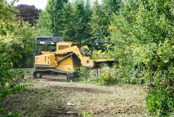 Pathway Clearing in Leander