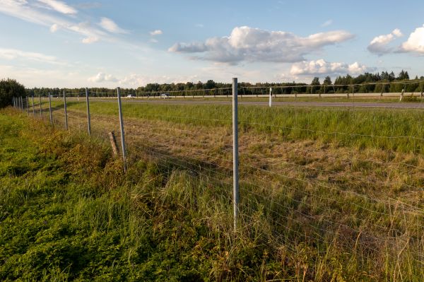 Property Line Clearing in Leander