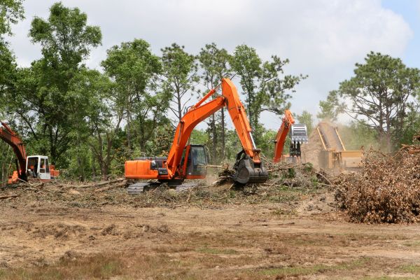 Commercial Lot Clearing in Leander