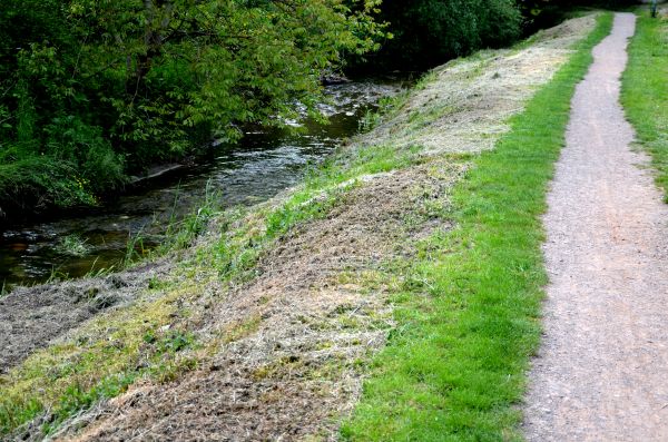 Trail Cutting in Leander