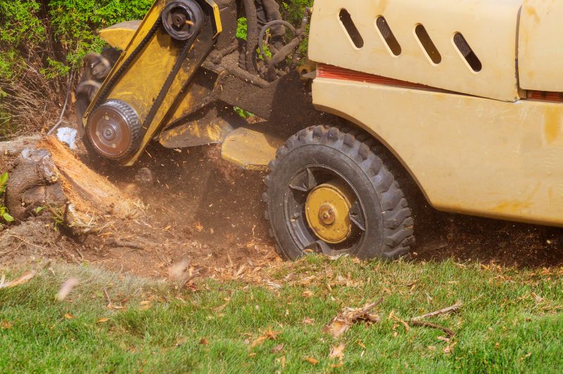 Stump Grinding Equipment